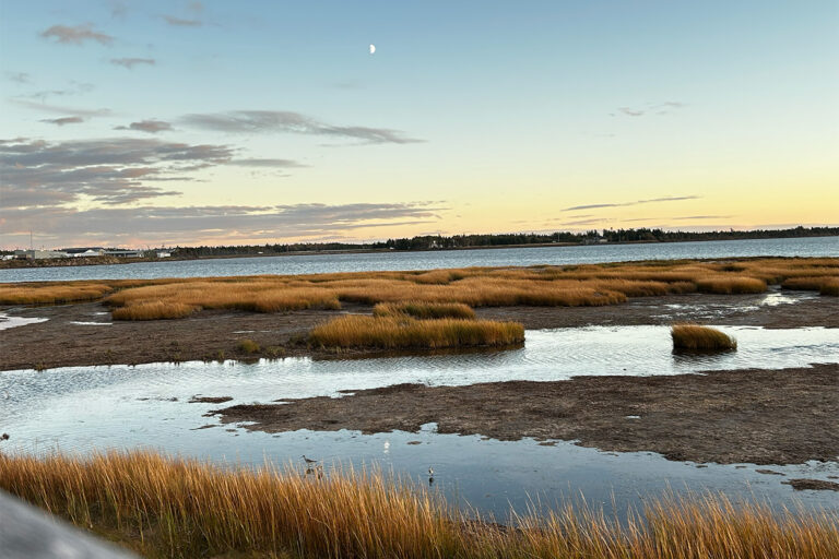 Paysage 2